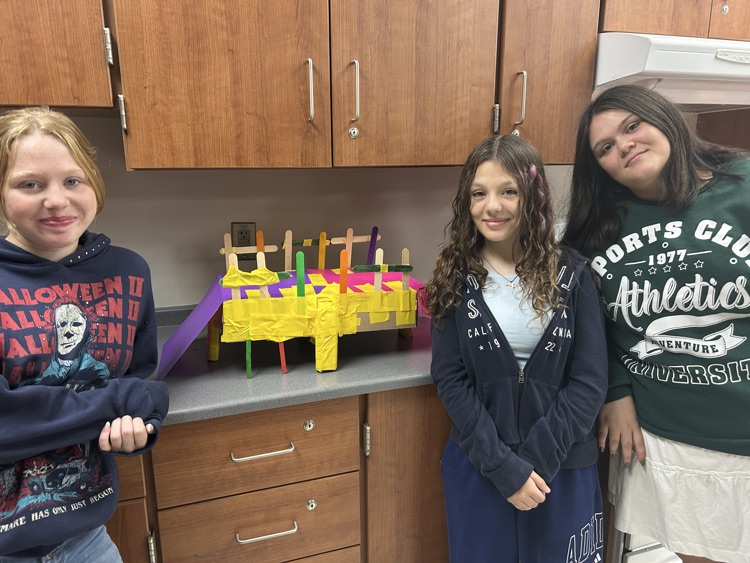 leadership project