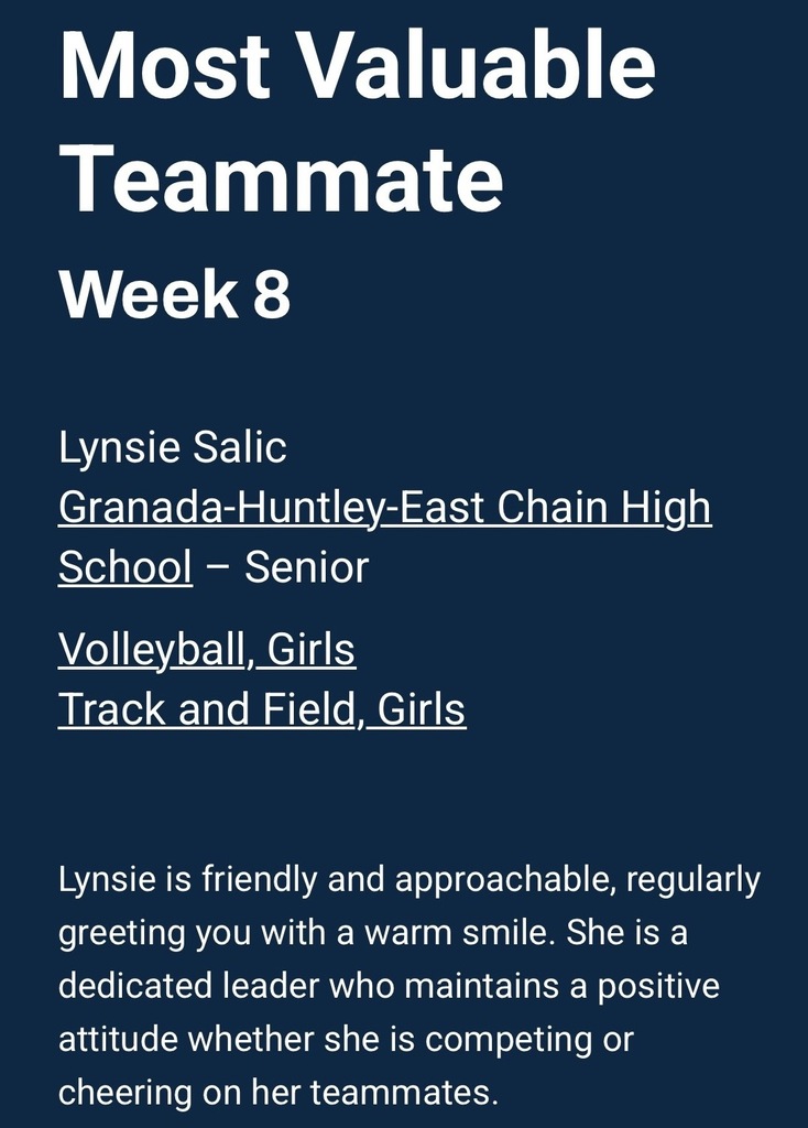 MSHSL MVT Description