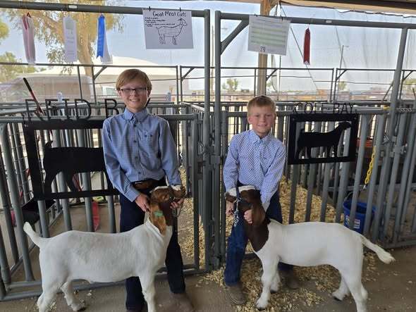 students at fair