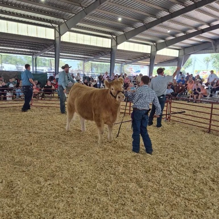 student at fair