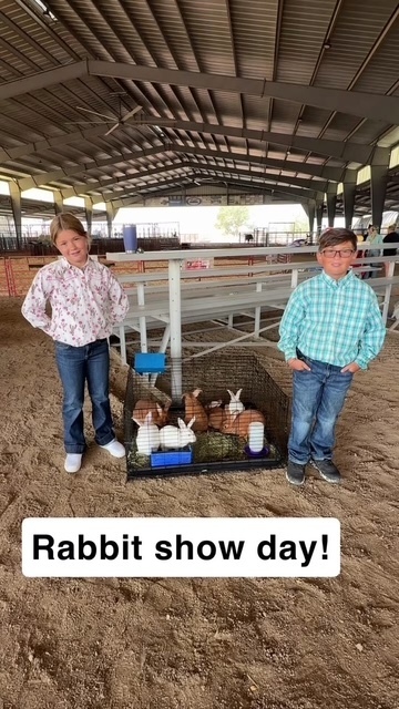 students at fair with animals