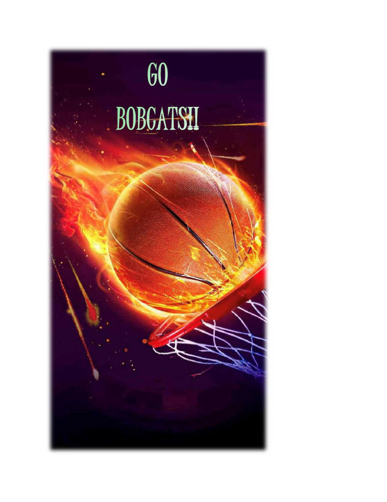 Basketball going through hoop