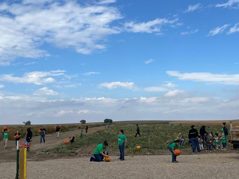 Elementary at pumpkin patch