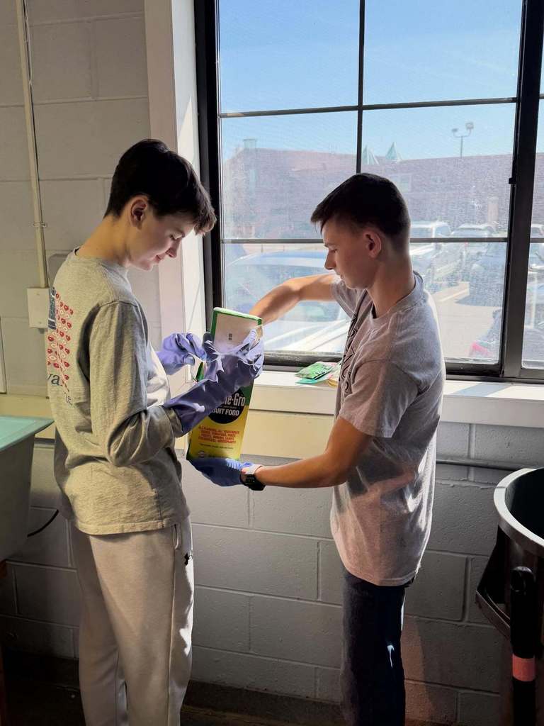 Two students working together