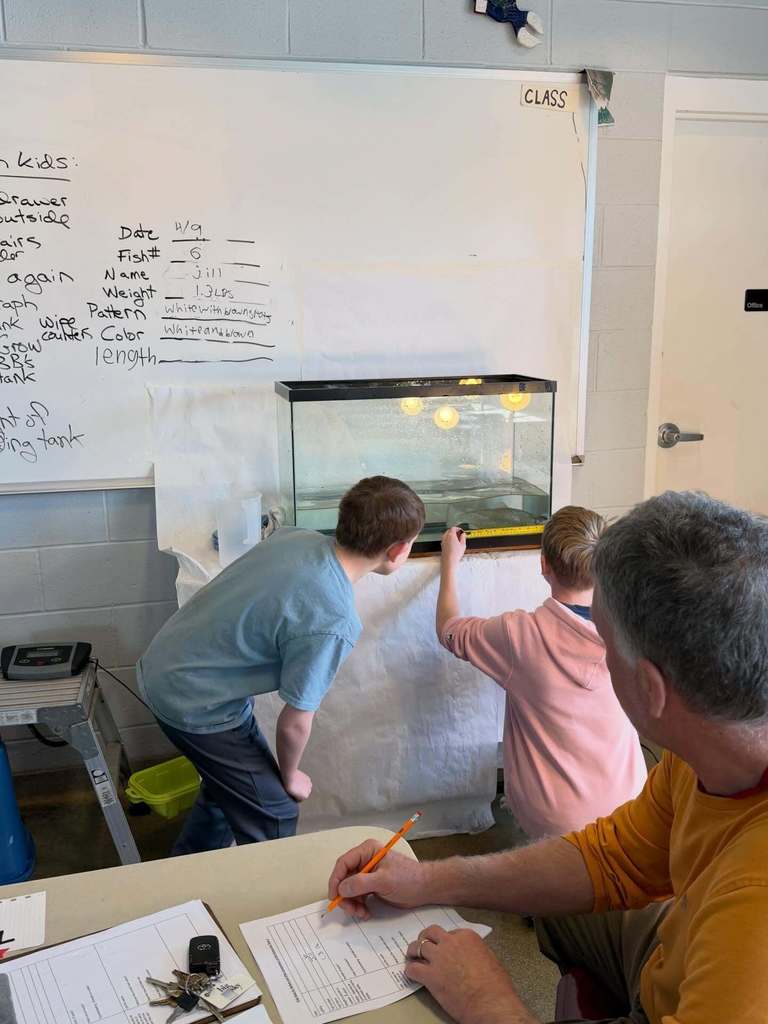 Two students measuring a trout