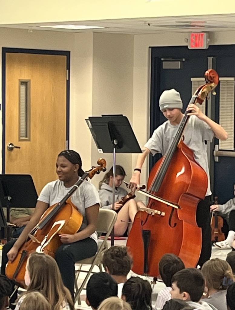 students playing strings