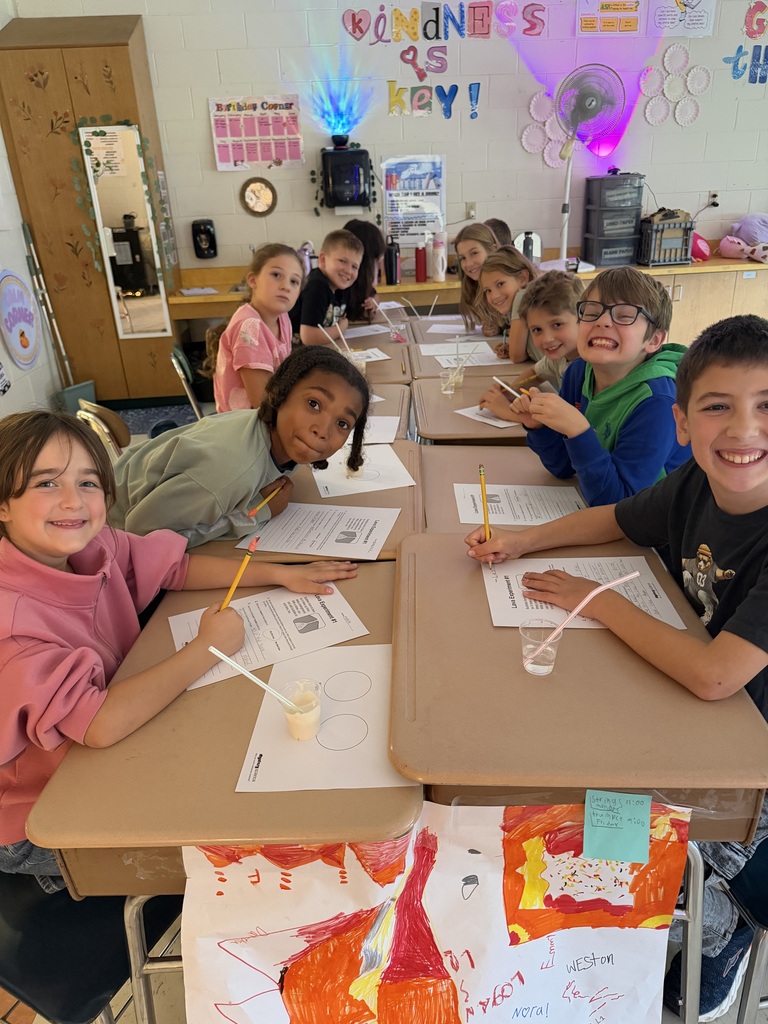 Students investigated how different types of lava can affect the shape and eruption patterns of volcanoes.