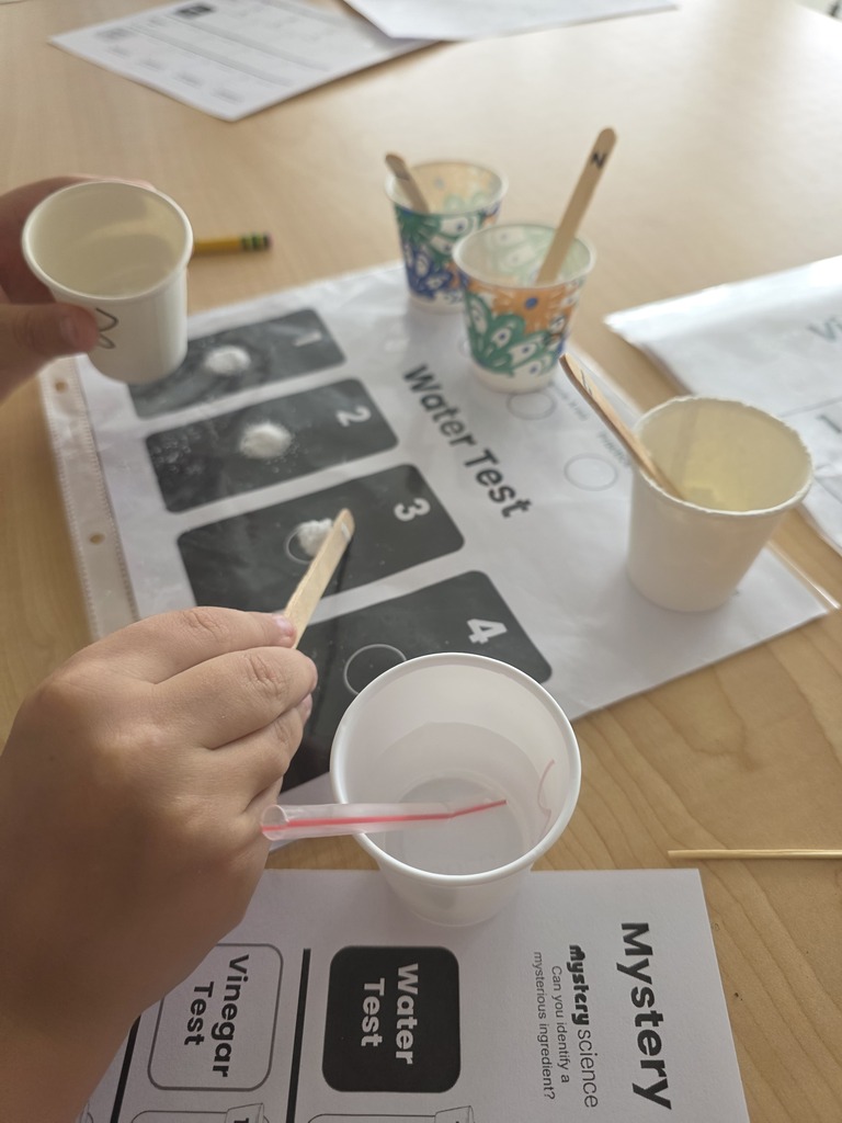 5th Graders in Mrs. Wojtas' and Ms. Brothers' room have been experimenting with Chemical Reactions.