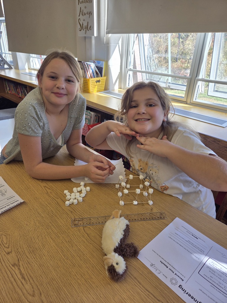 This week students in Ms. DiNuzzo Class, Students explored earthquakes and the hazards they cause to buildings. We pretended to be Earthquake Engineers, where we designed, built, and tested earthquake resistant model buildings using marshmallows.