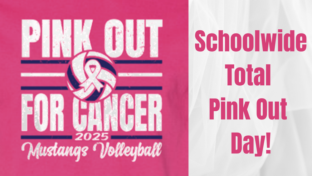 picture of volleyball