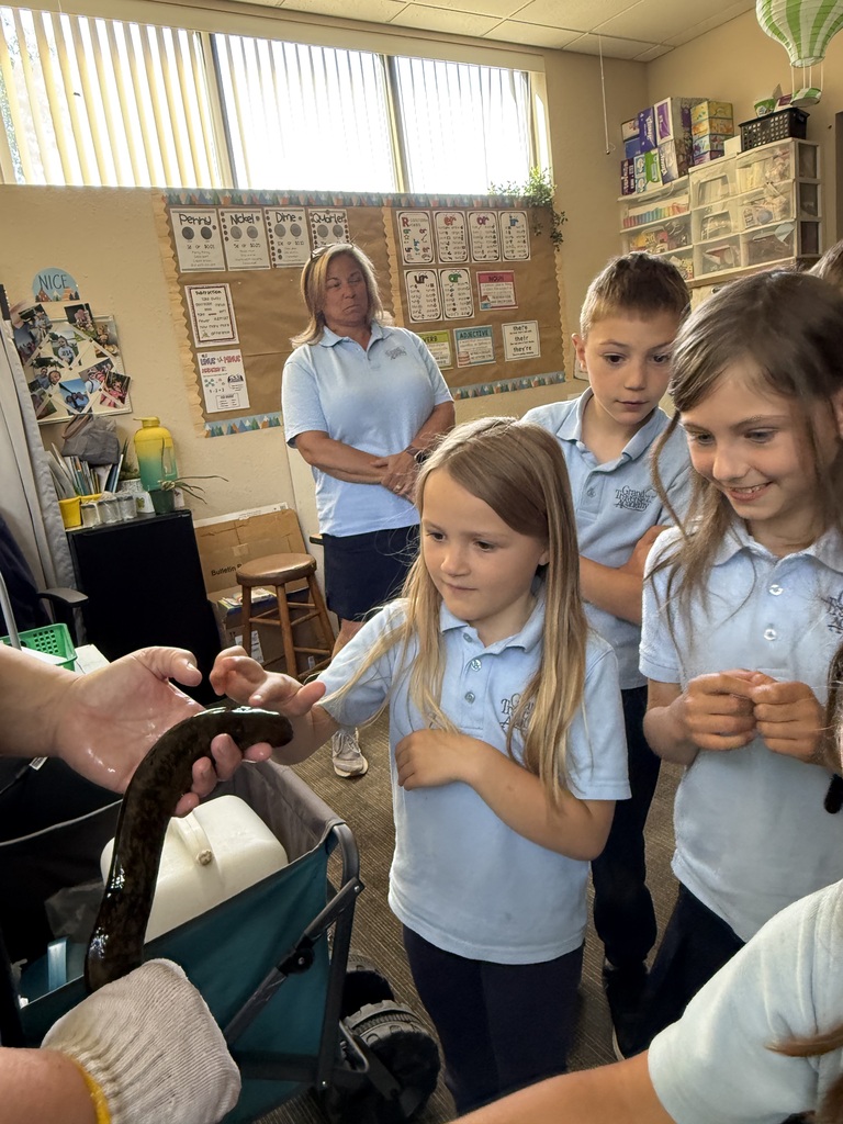students touching live eels