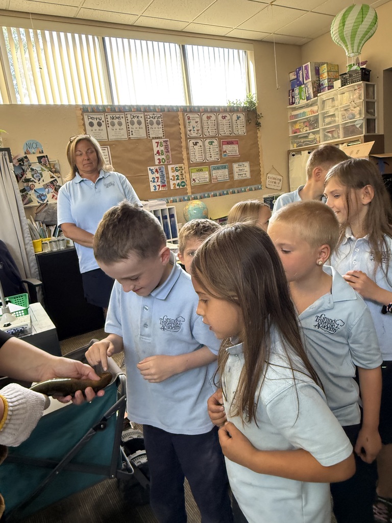 students touching live eels