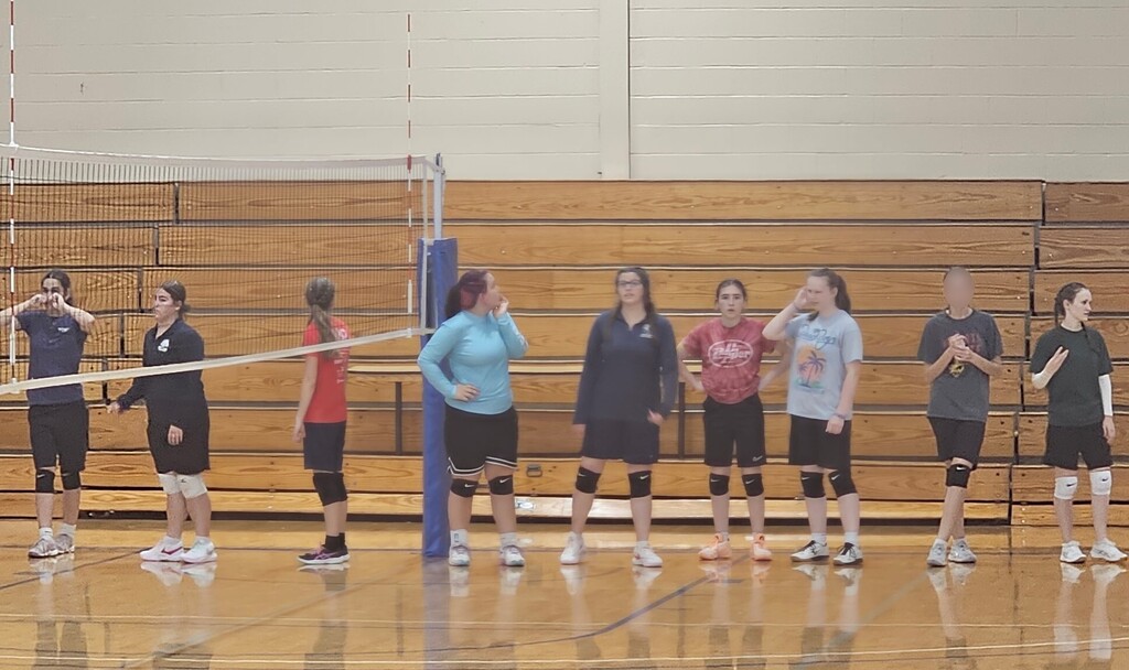 volleyball players