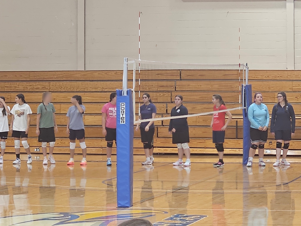 volleyball players