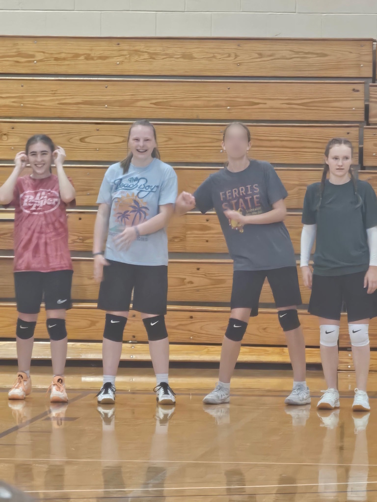 volleyball players
