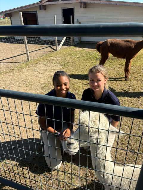 students posing with alpaca