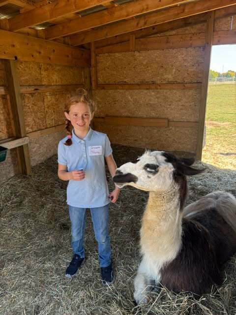 girl posing with alpaca