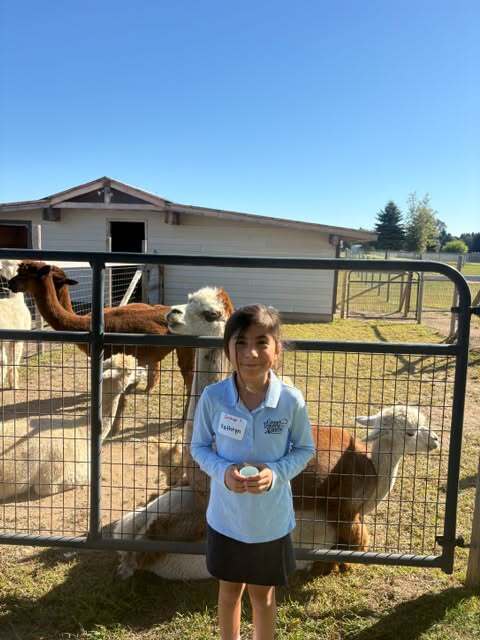 student visiting alpaca farm