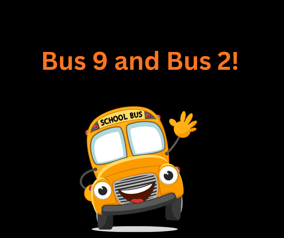 bus