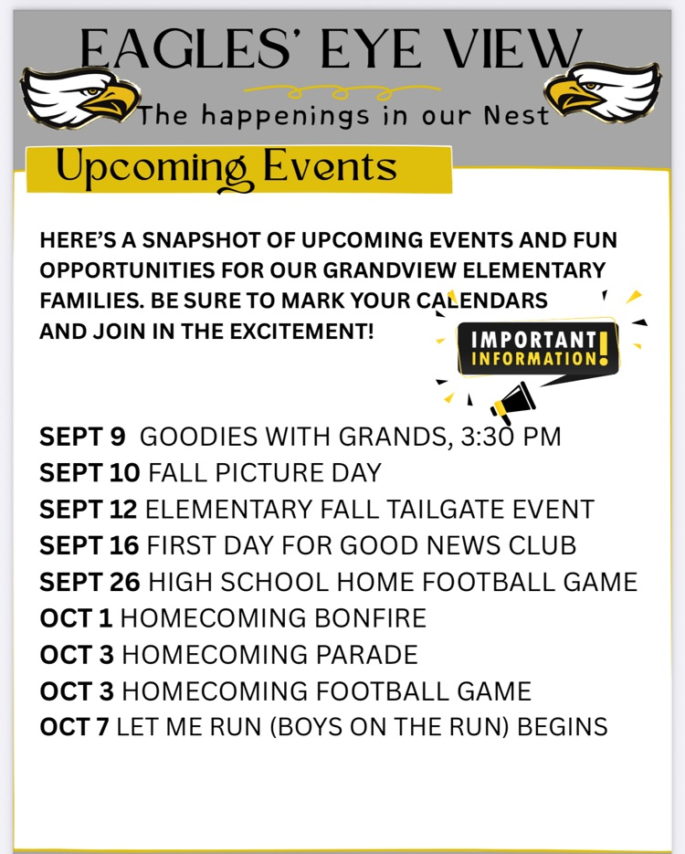 weekly newsletter 4