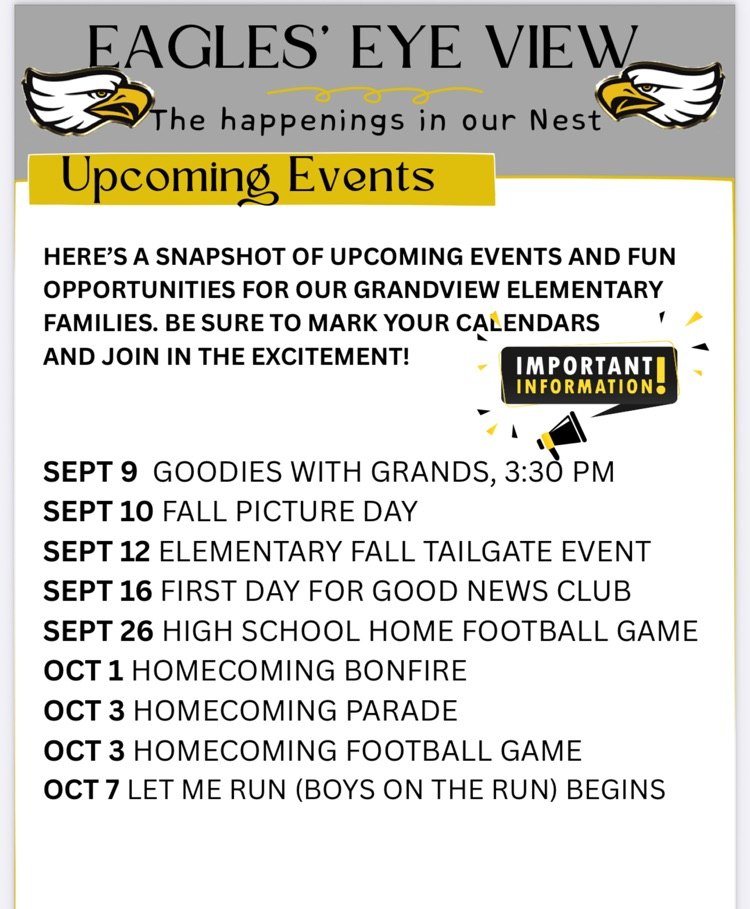 newsletter 3