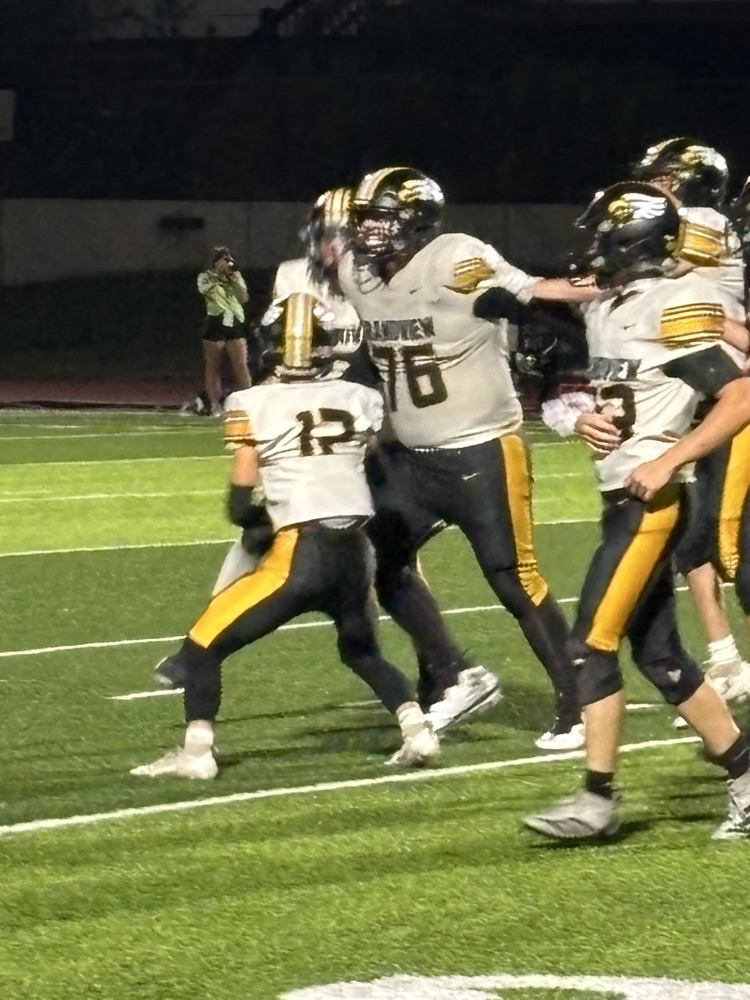 celebrating an interception