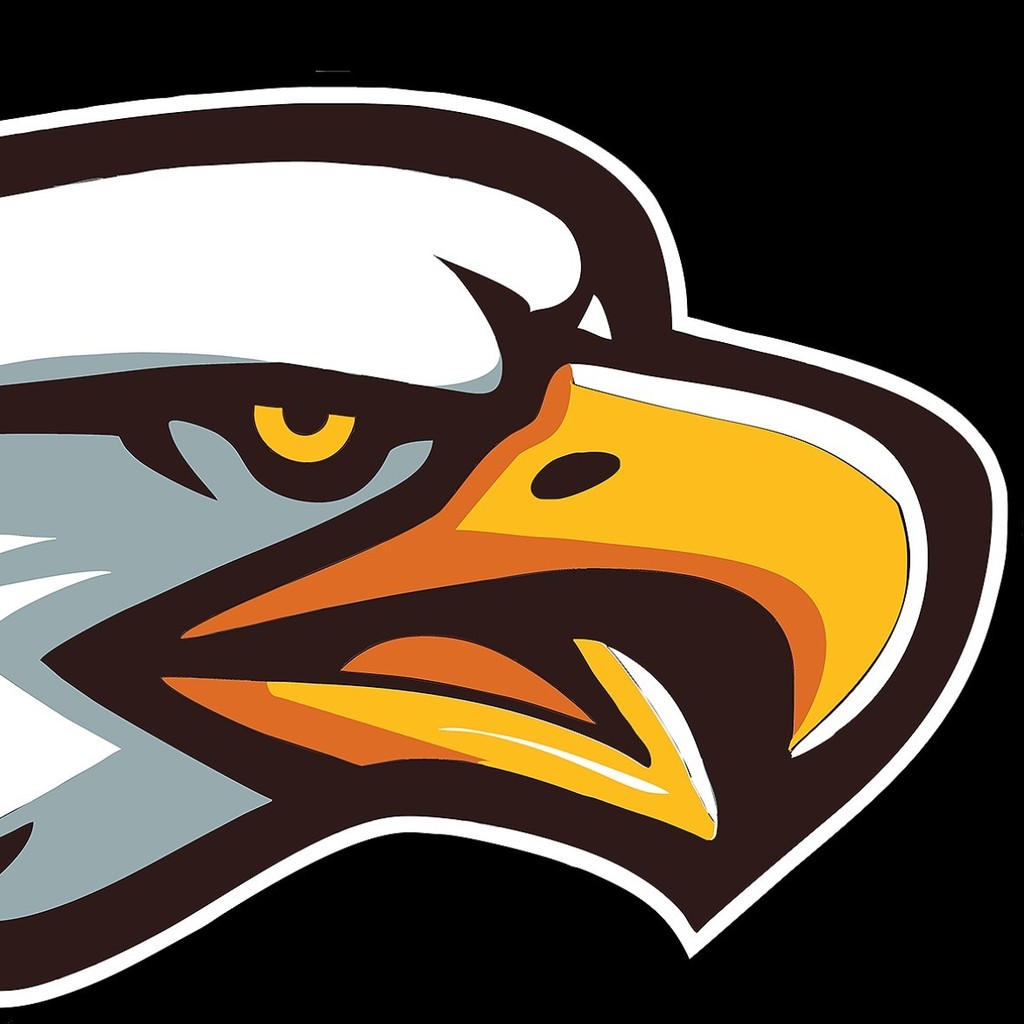 insta eagle head