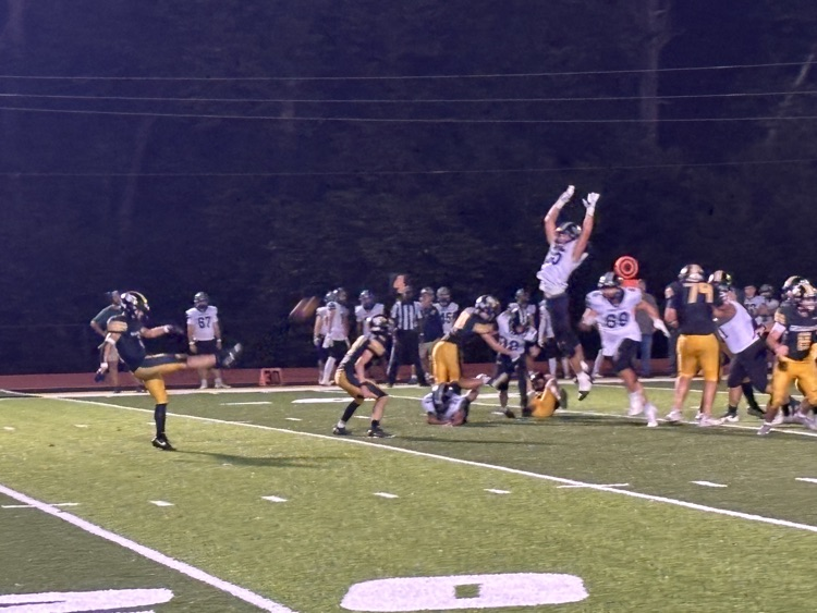 punt team 