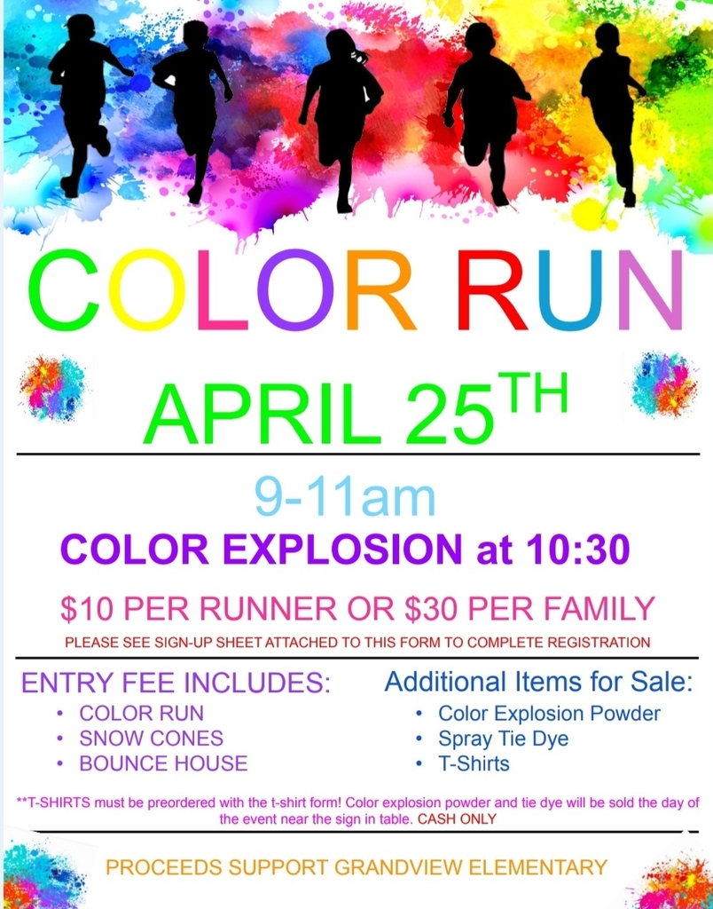 Color Run Flyer