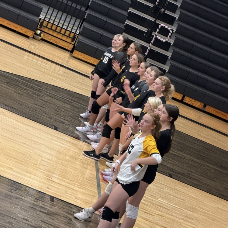 GV VB