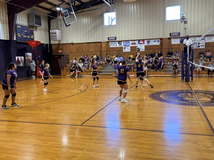 JH volleyball