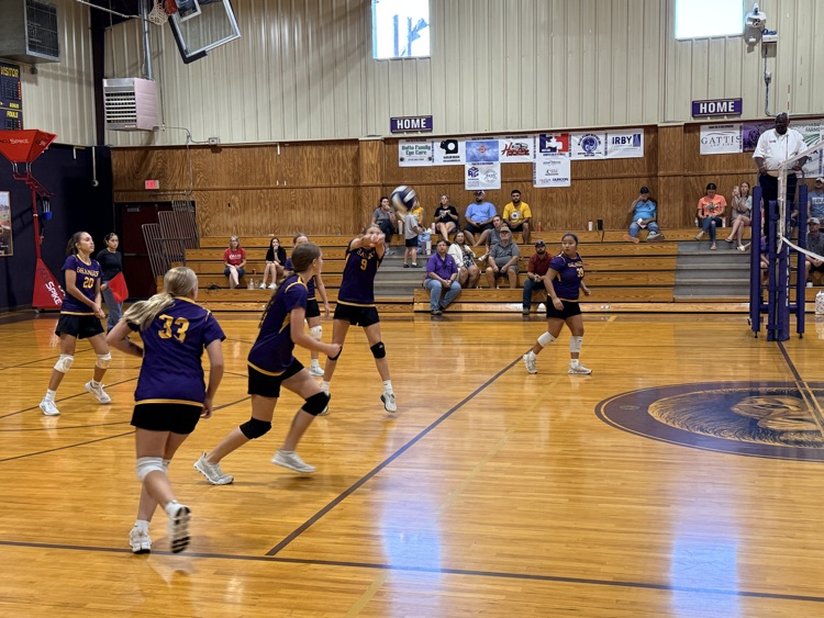 JH volleyball