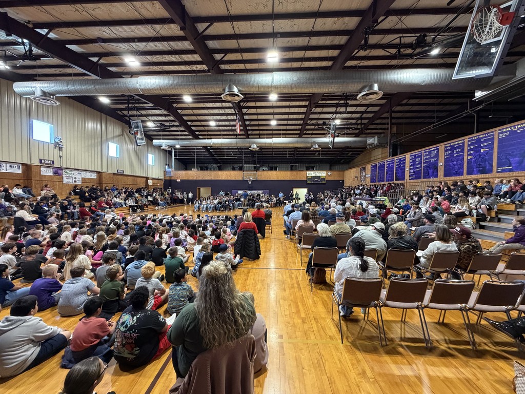 Veterans Day Picture 1