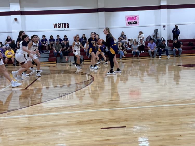 Lady Lions Basketball 