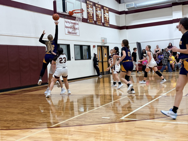 Lady Lions Basketball 