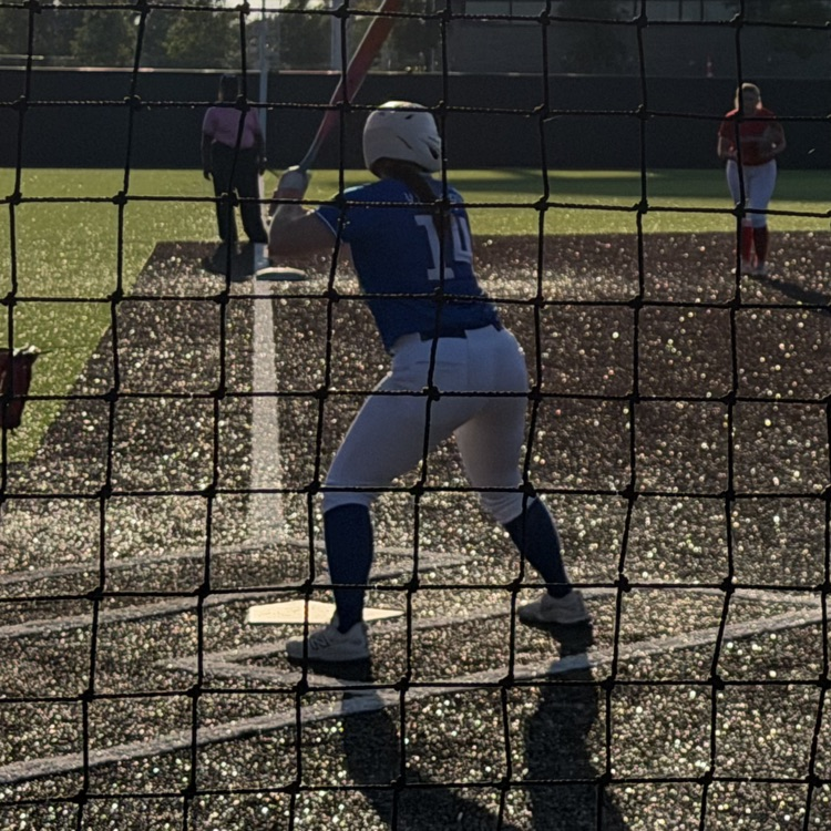 Abi Crouch batting