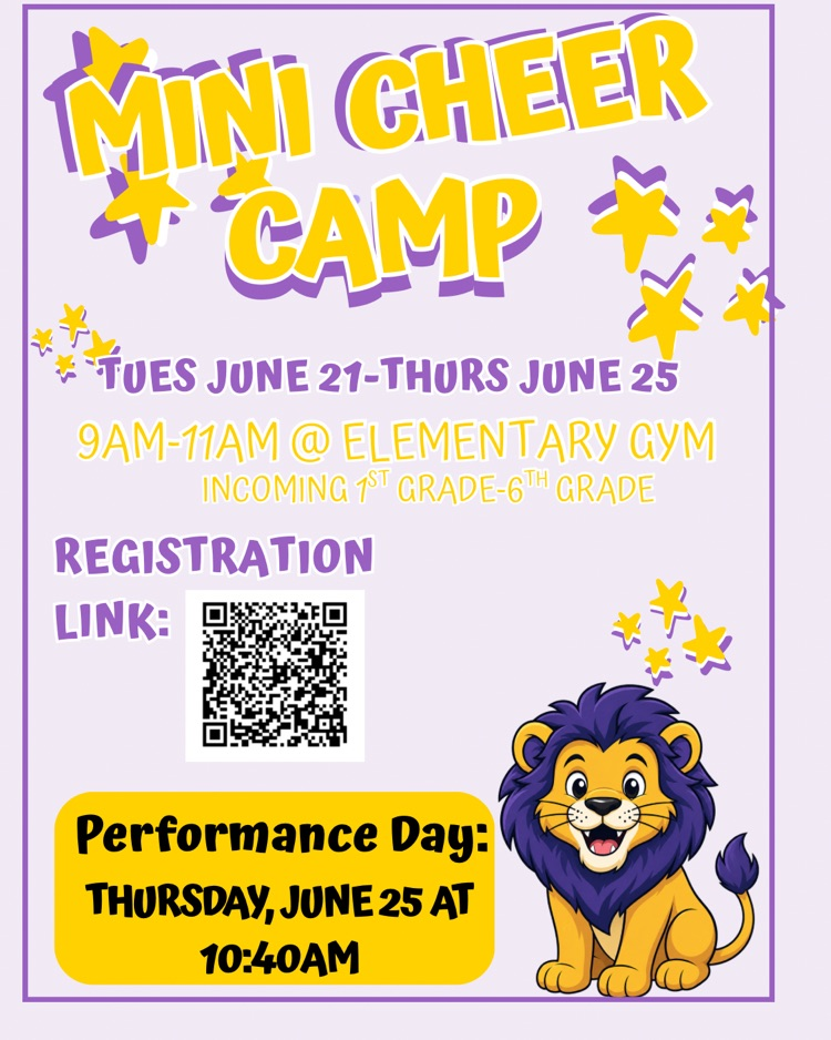 mini cheer camp