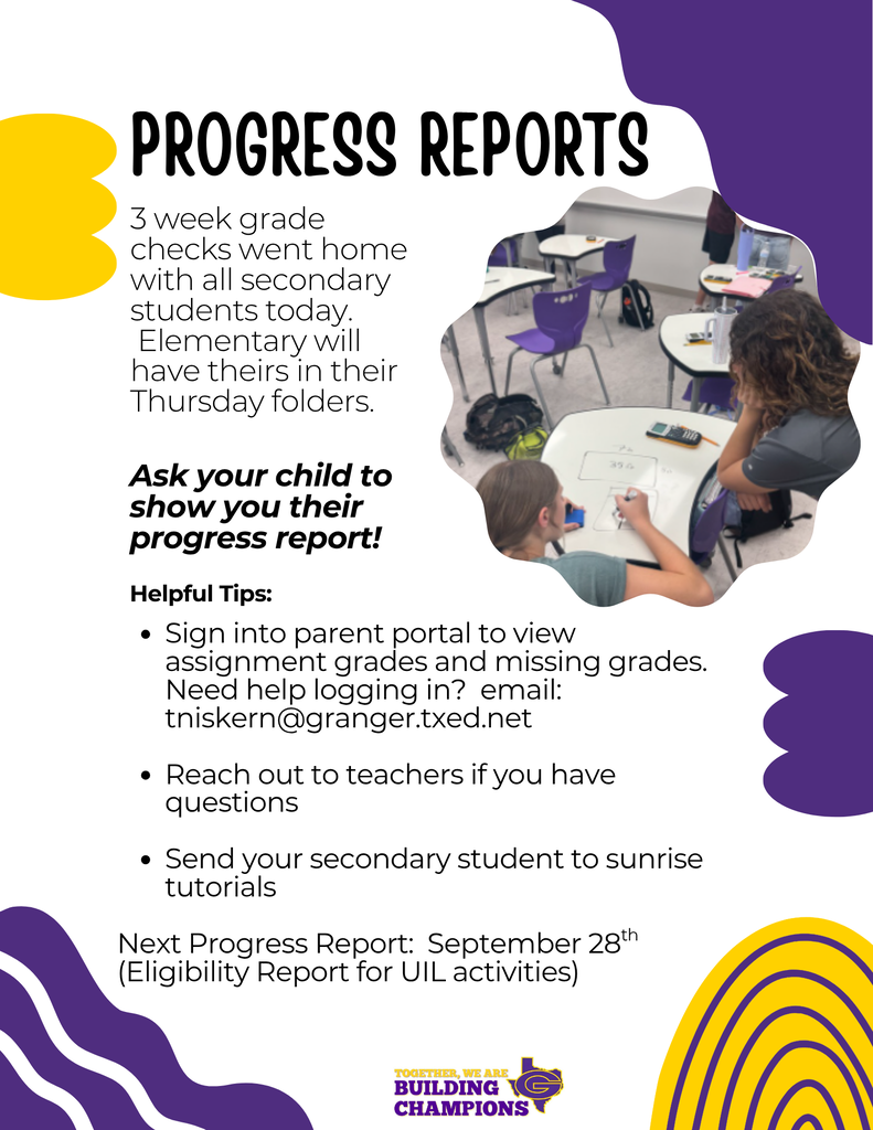 progress report