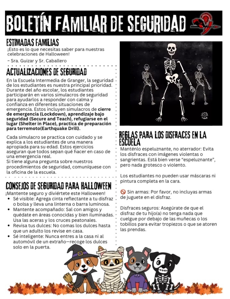 Spanish newsletter