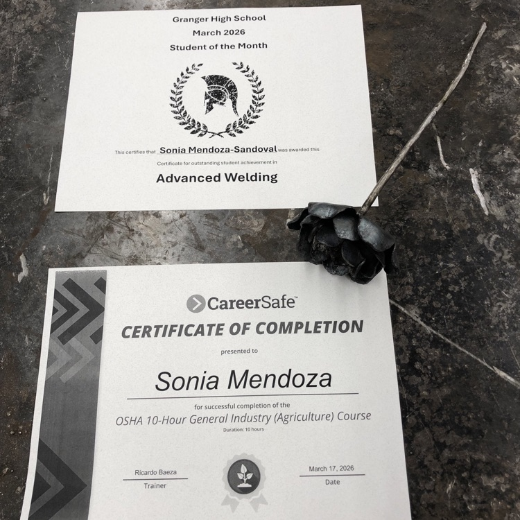 Certificates Sonia has earned and one of her projects.