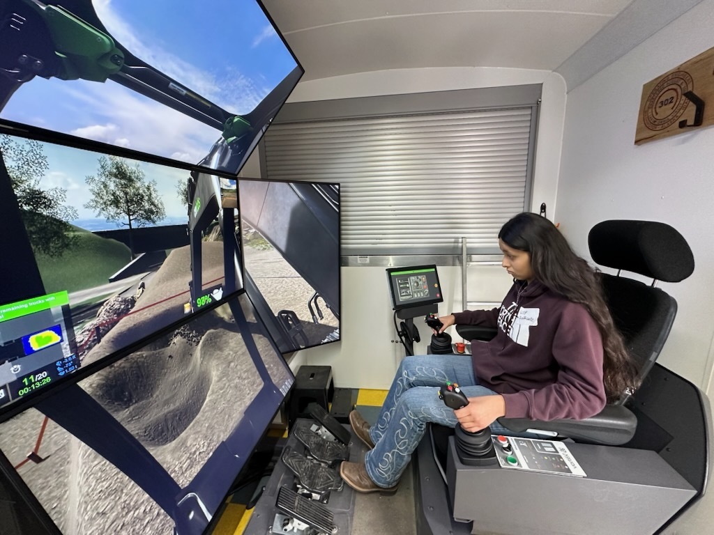 Virtual experience
