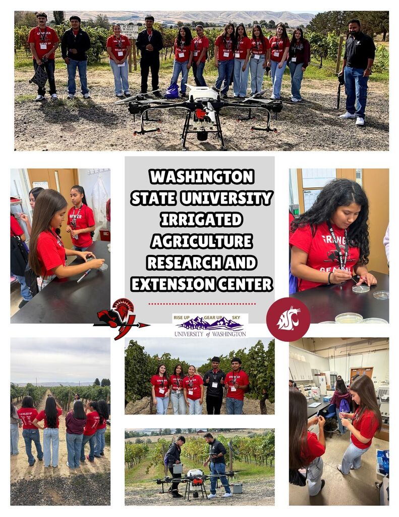WSU