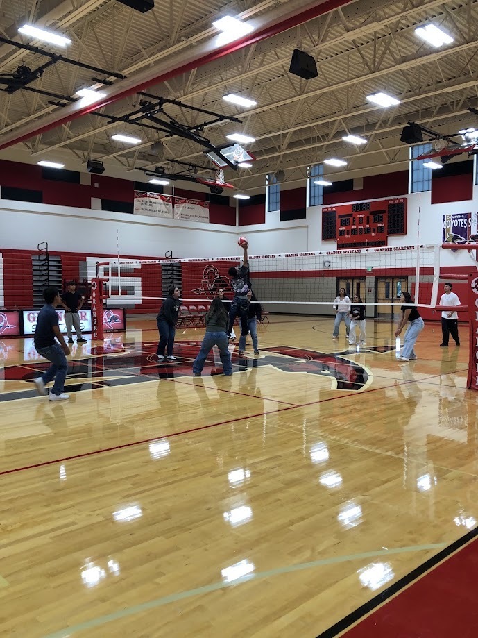 Volleyball