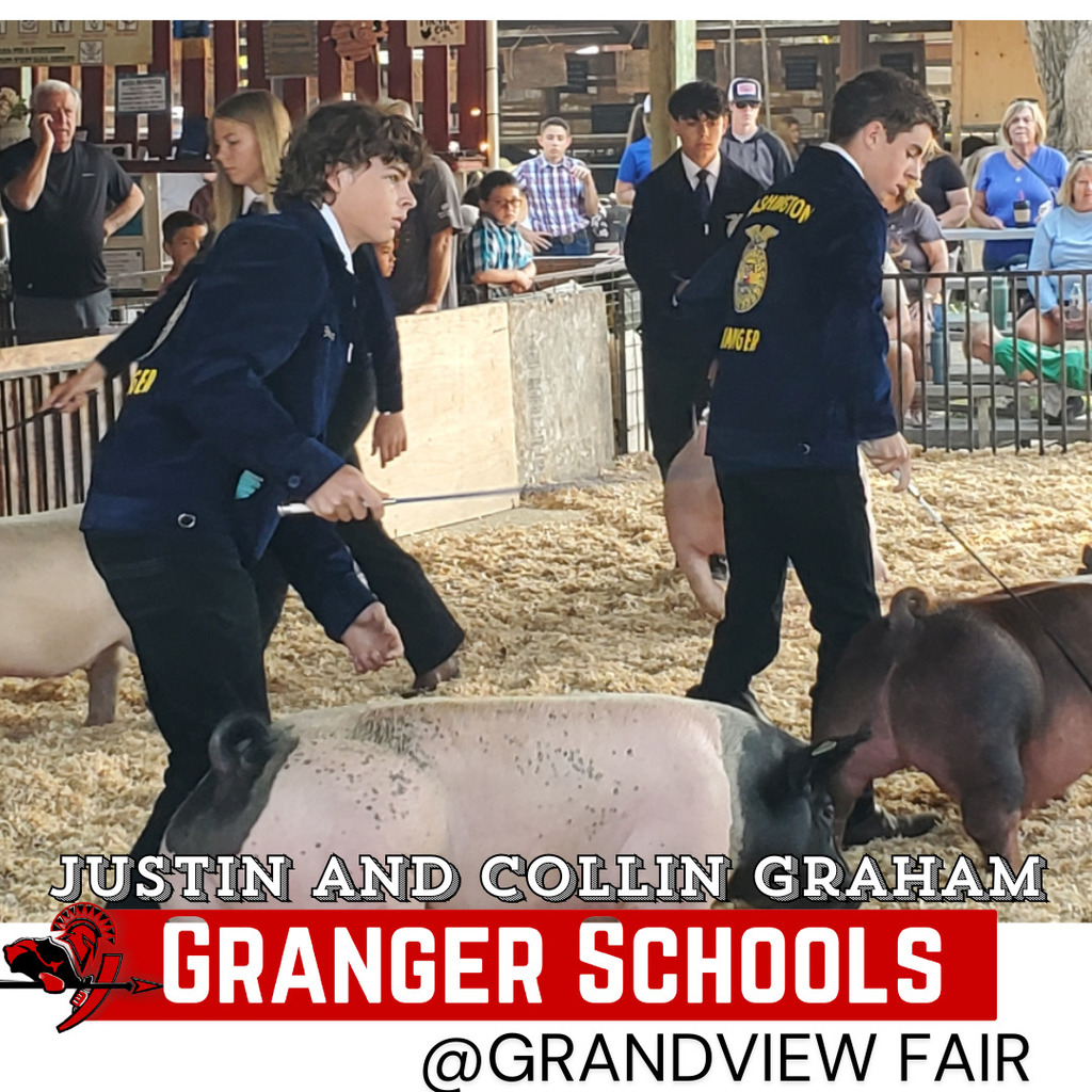 Justin and Collin Graham at the Grandview fair