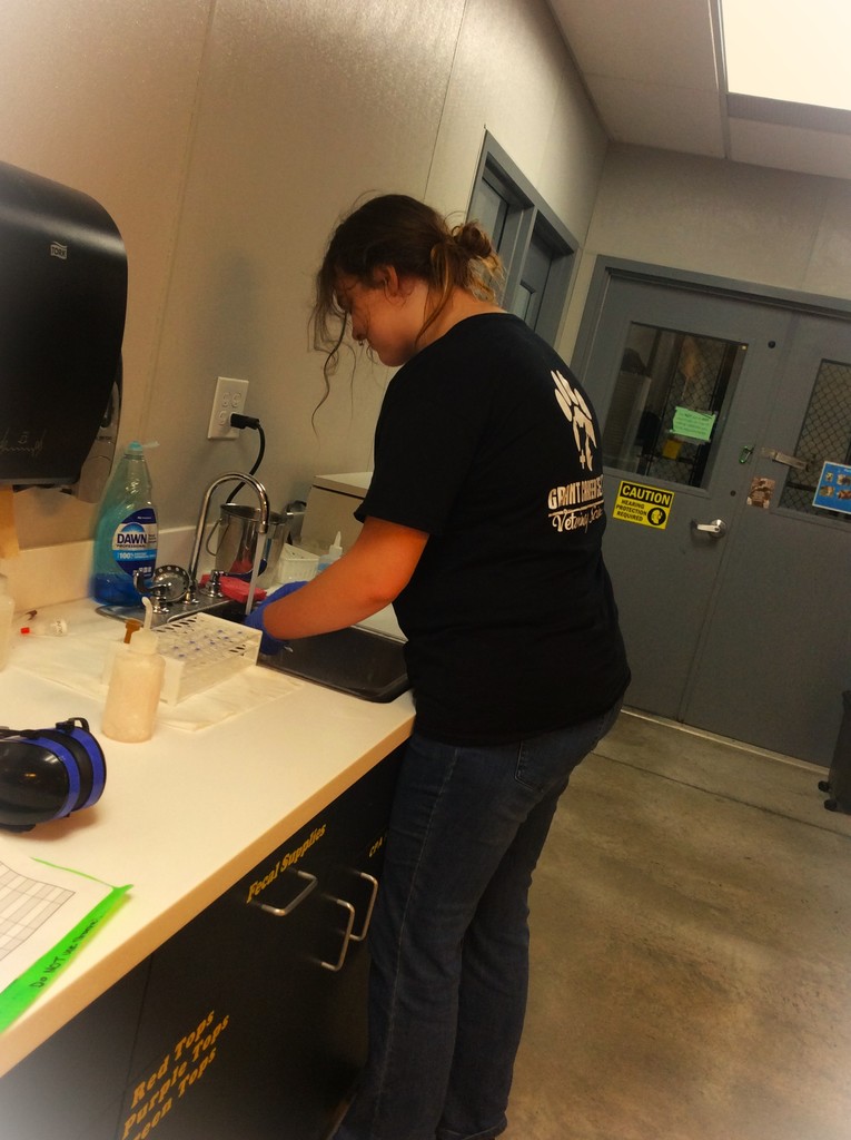 Our junior's first time at the intestinal parasite exam  station. She is doing amazing!