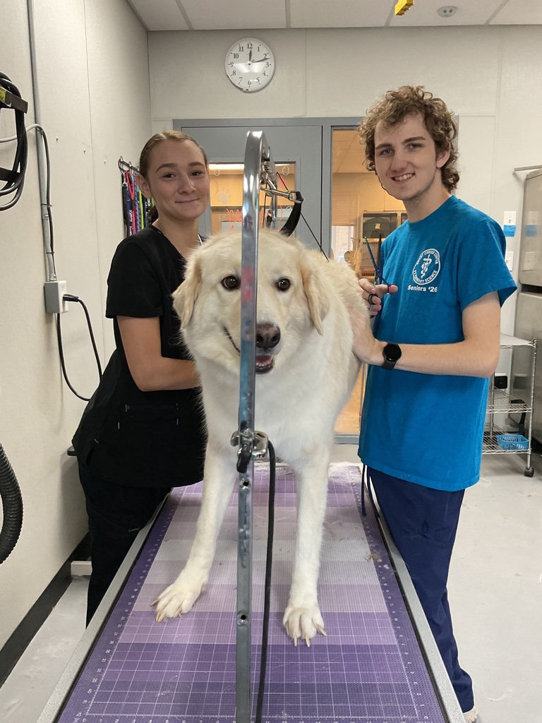 student with dog on grooming table.