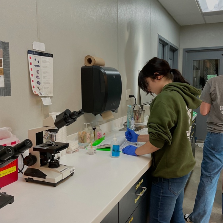 Fecal station, doing great!