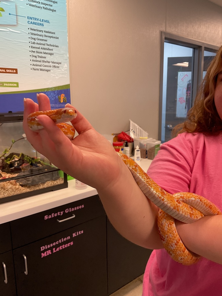 Person holding Snake.
