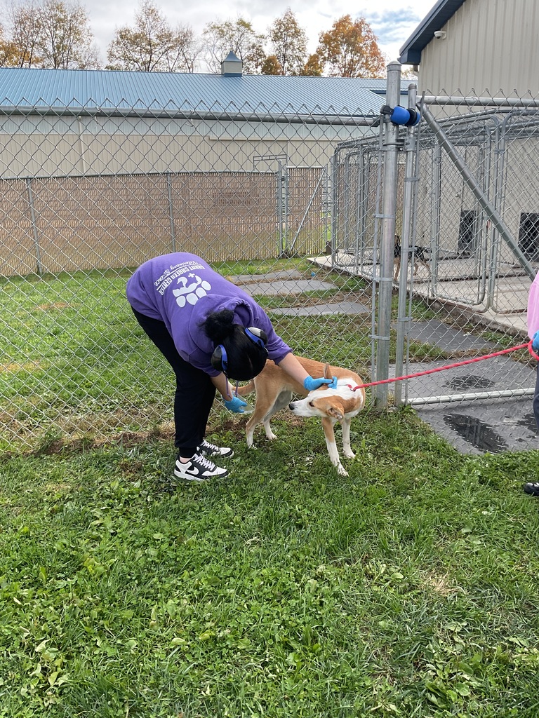 student with dog getting urine