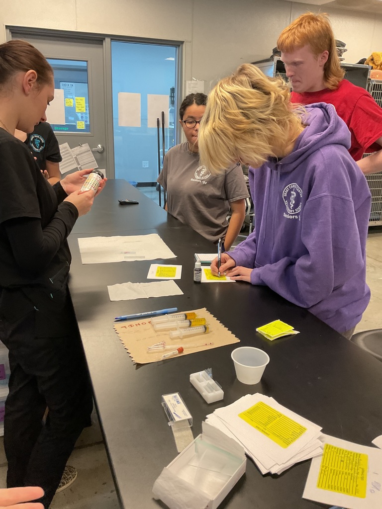 students look at urine analysis tests